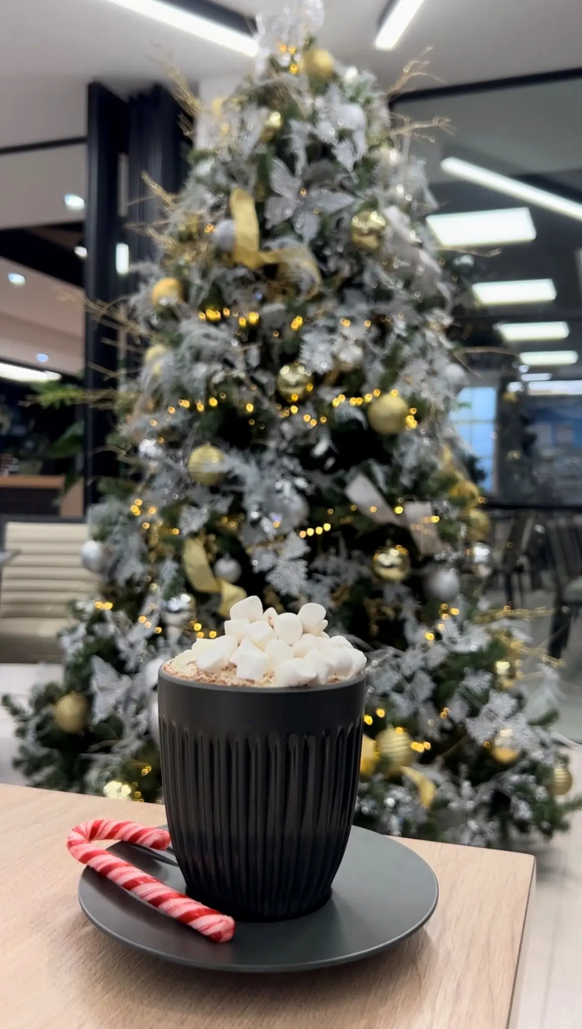 Kendal's Christmas Magic